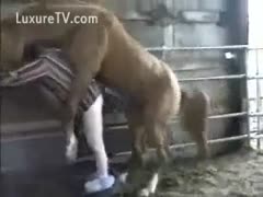 A sexually aroused ranch worker takes off his trousers to engage in beast sex with a horse.